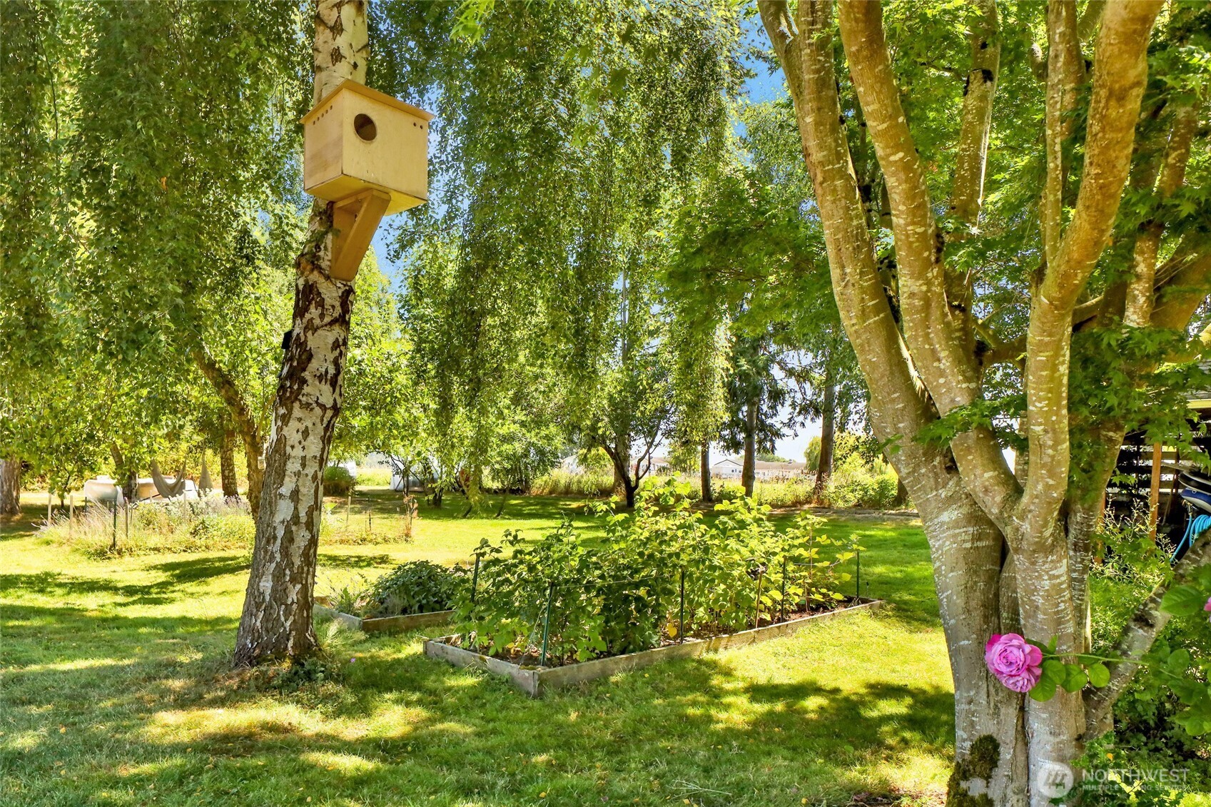 4749 Chuckanut Mountain Drive Bow, WA 98232 - Photo 36 of 40 a view of a garden with a tree
