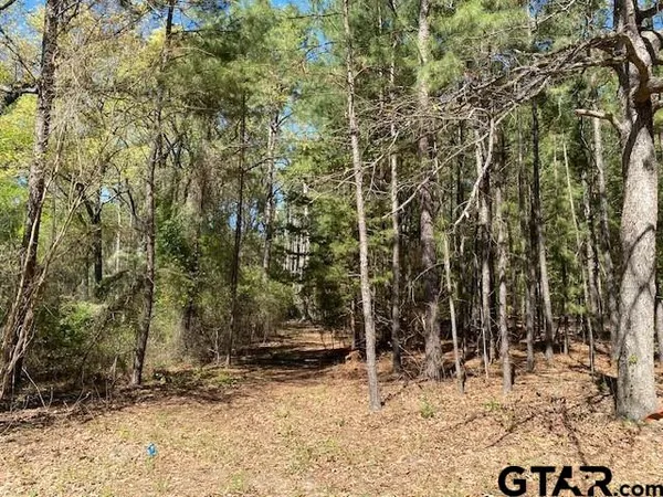 $50,000 | Tbd Armadillo Drive, Murchison, TX 75778