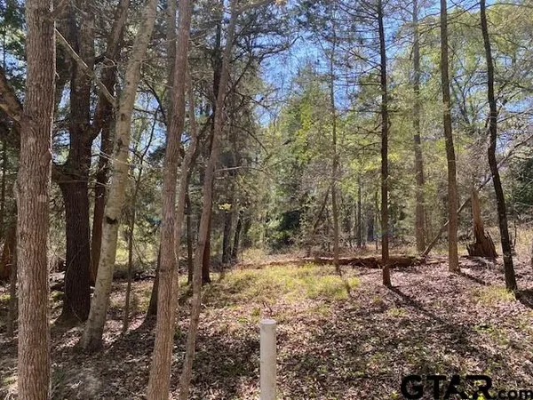 $50,000 | Tbd Armadillo Drive, Murchison, TX 75778