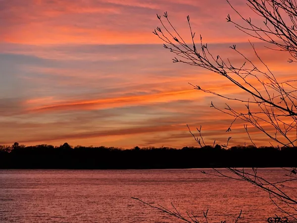 $50,000 | Tbd Armadillo Drive, Murchison, TX 75778