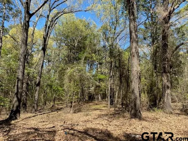 $50,000 | Tbd Armadillo Drive, Murchison, TX 75778