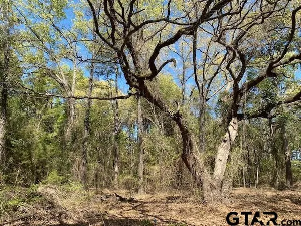 $50,000 | Tbd Armadillo Drive, Murchison, TX 75778