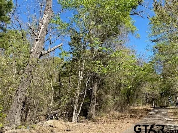 $50,000 | Tbd Armadillo Drive, Murchison, TX 75778