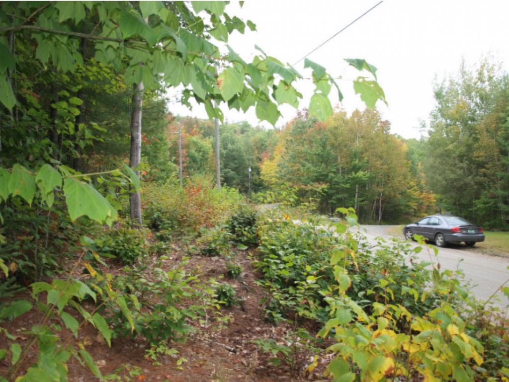 0 Mountain Road Dalton, NH 03598 - Photo 1 of 14