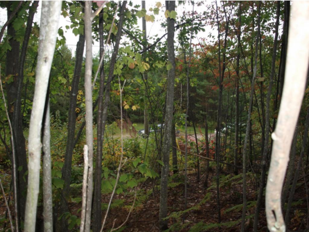0 Mountain Road Dalton, NH 03598 - Photo 3 of 14