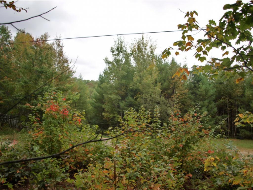 0 Mountain Road Dalton, NH 03598 - Photo 7 of 14