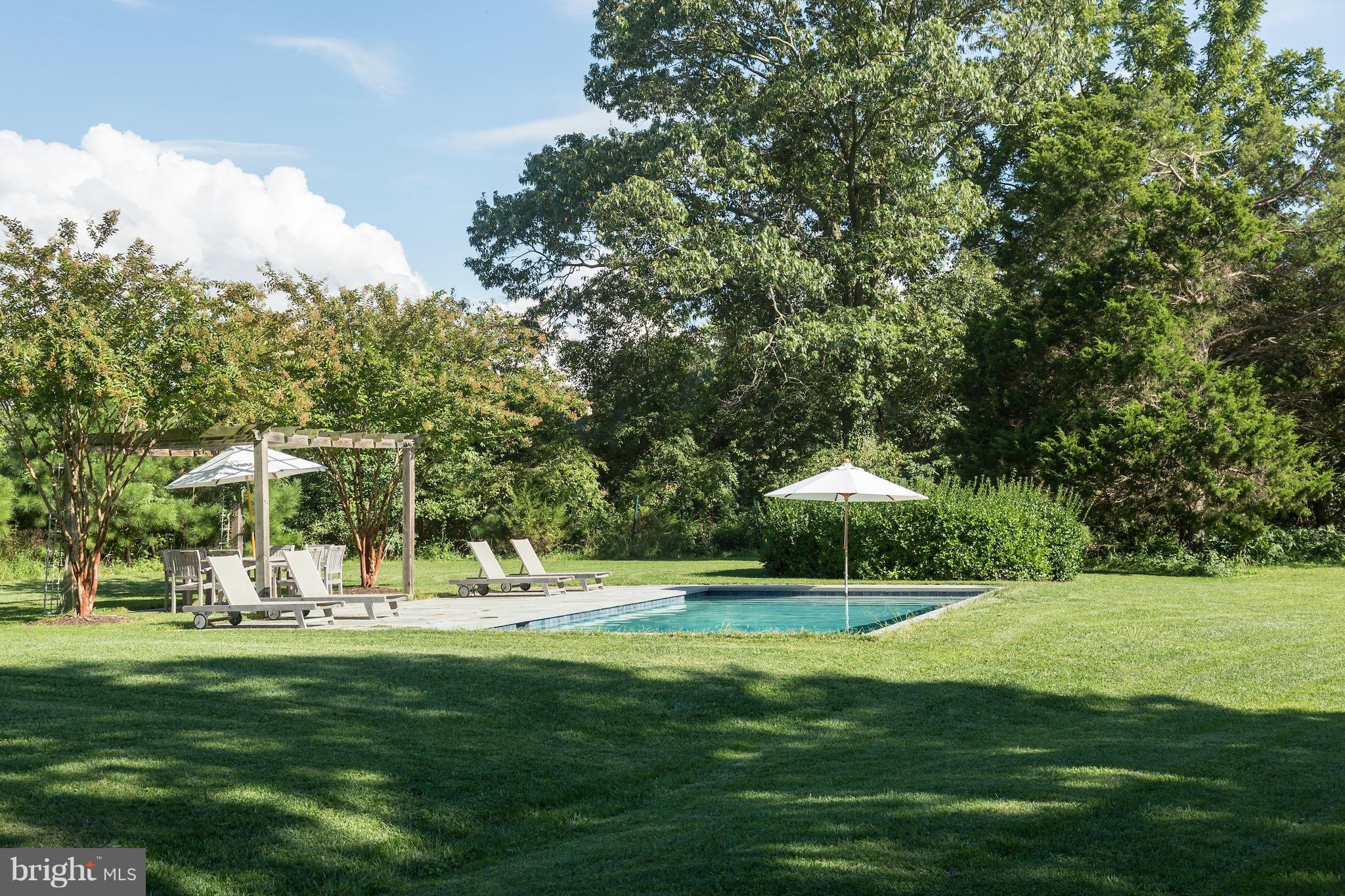 8161 Leehaven Road Easton, MD 21601 - Photo 5 of 26 Pool and Grounds