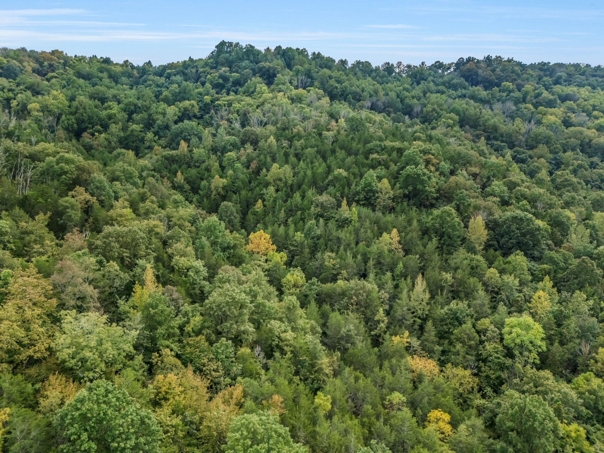 0 Poplar Flatt Road Silver Point, TN 38582 - Photo 11 of 23 an aerial view of a houses with a lush green hillside