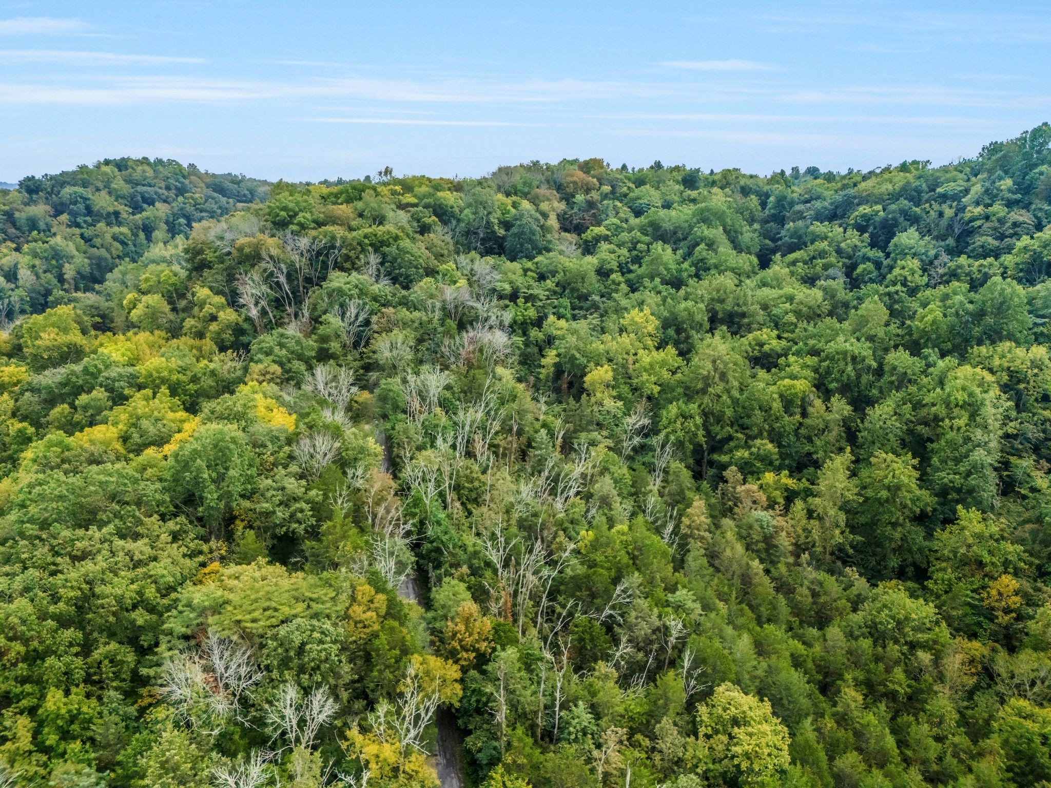 0 Poplar Flatt Road Silver Point, TN 38582 - Photo 14 of 23 an aerial view of a houses with a yard