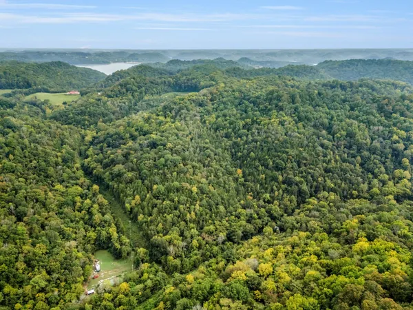 a view of a lush green forest with a lush green forest