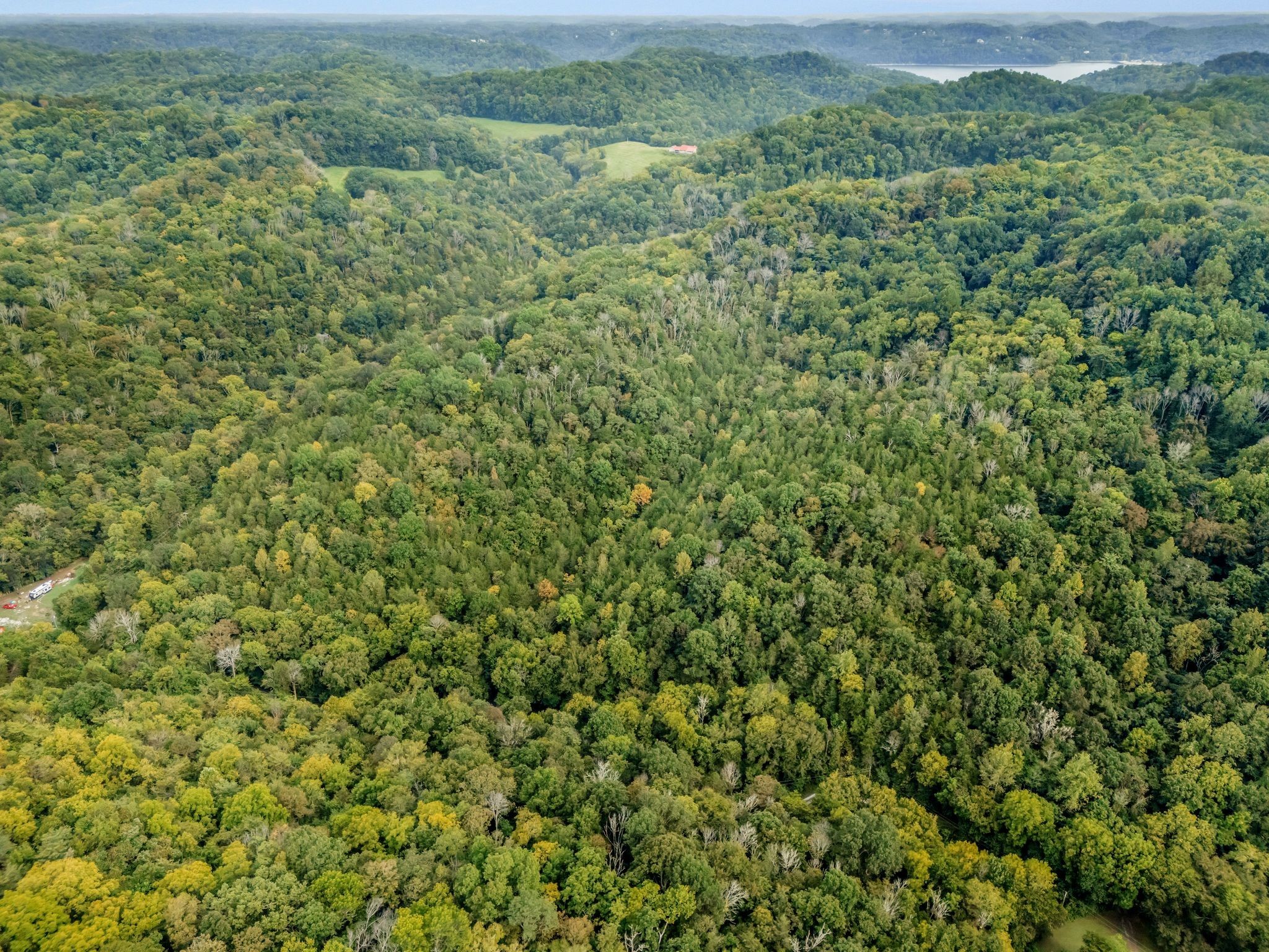 0 Poplar Flatt Road Silver Point, TN 38582 - Photo 6 of 23 a view of a green field with lots of bushes