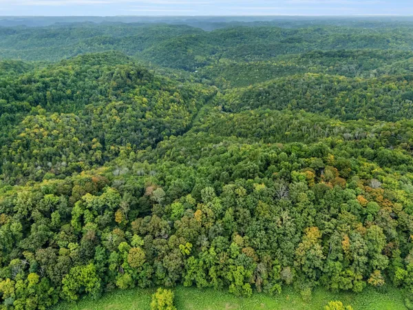an aerial view of a houses with a lush green hillside