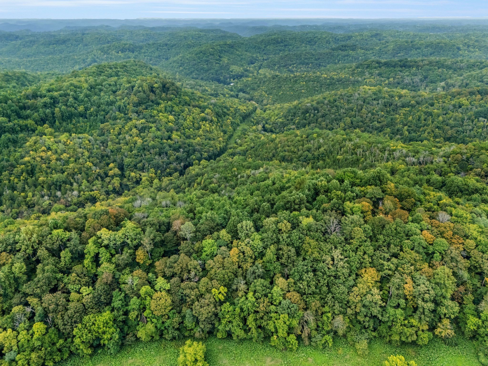 0 Poplar Flatt Road Silver Point, TN 38582 - Photo 10 of 23 a view of a lush green space