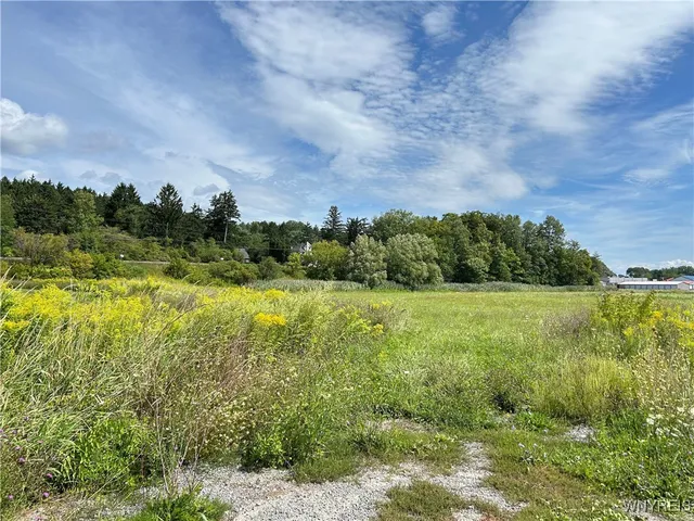 $44,000 | 0 Route 98 Alexander Ny 14005, Alexander, NY 14005