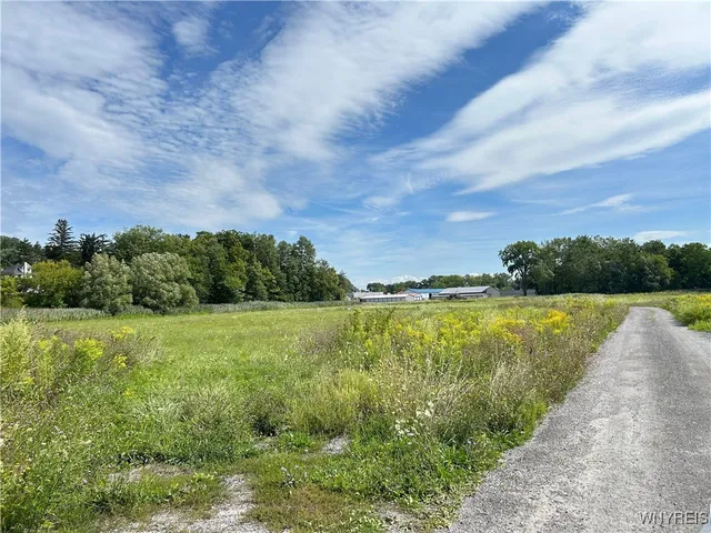 $44,000 | 0 Route 98 Alexander Ny 14005, Alexander, NY 14005