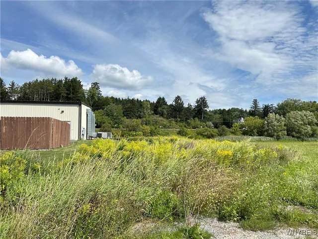 $44,000 | 0 Route 98 Alexander Ny 14005, Alexander, NY 14005