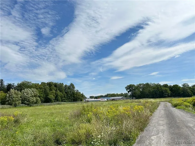 $44,000 | 0 Route 98 Alexander Ny 14005, Alexander, NY 14005