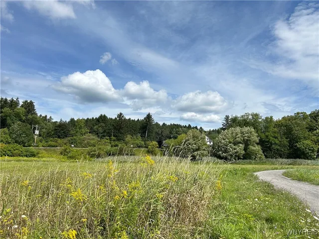 $44,000 | 0 Route 98 Alexander Ny 14005, Alexander, NY 14005