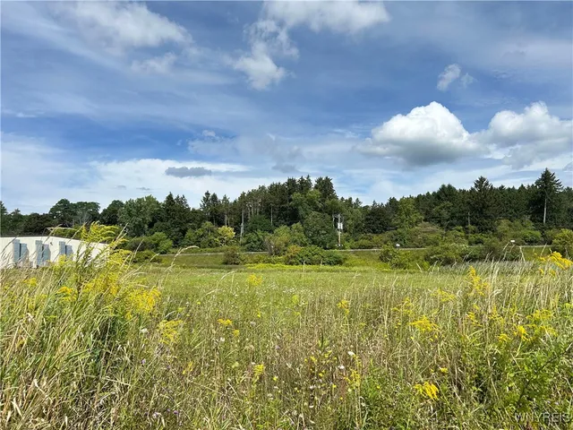 $44,000 | 0 Route 98 Alexander Ny 14005, Alexander, NY 14005