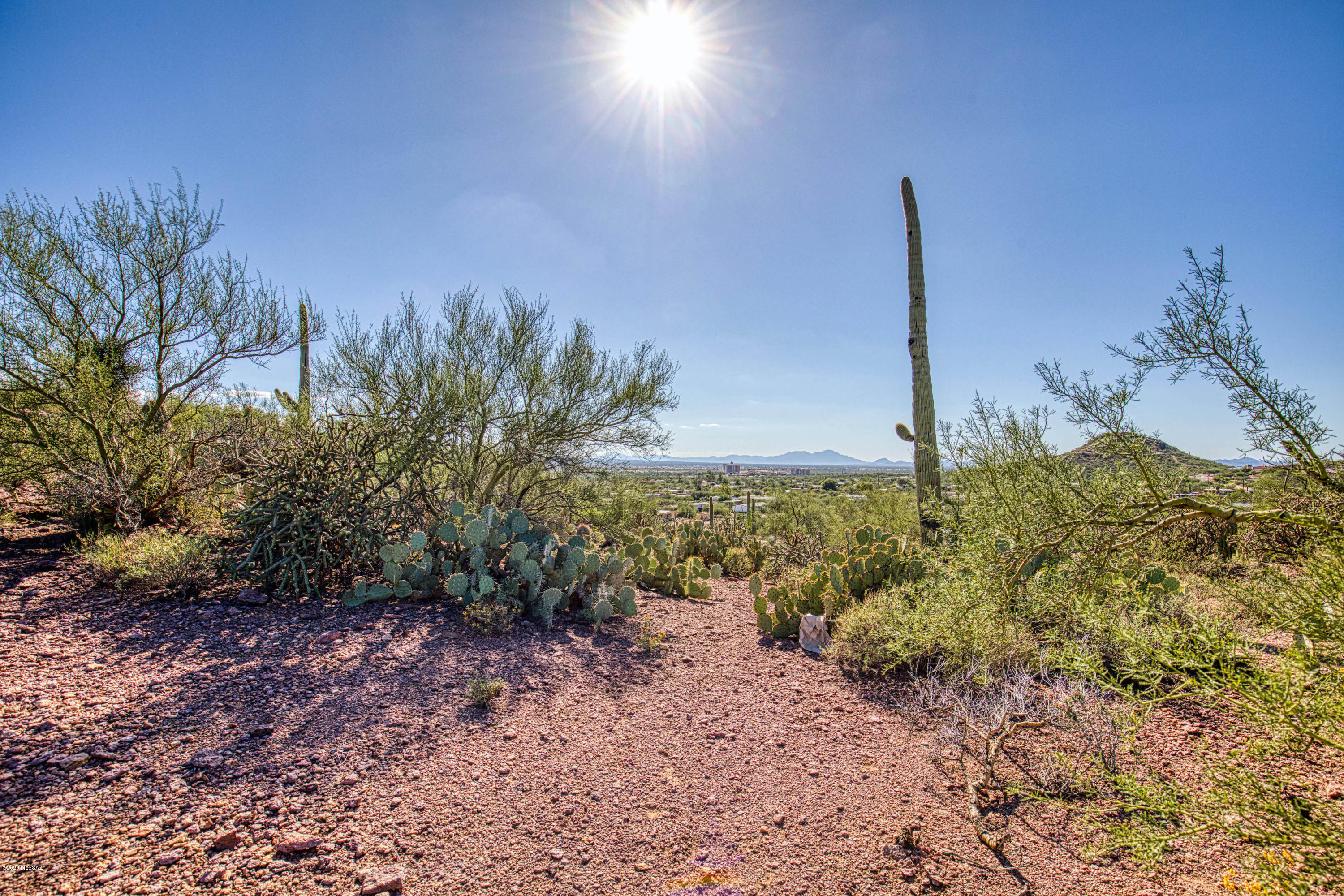 4651 West Bilby Road, Unit 3 Tucson, AZ 85757 - Photo 19 of 24