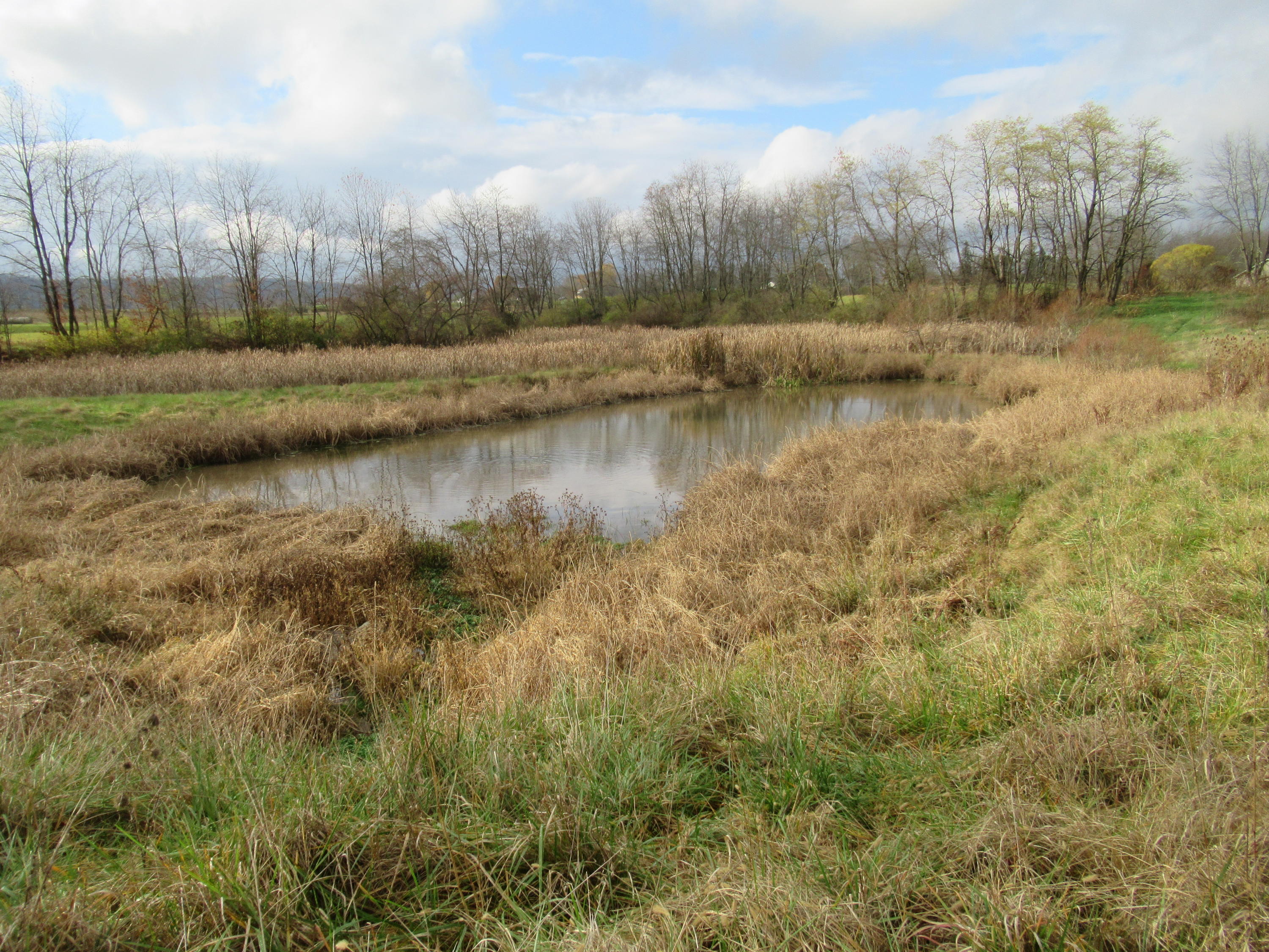 Houfnaggle Road Lewisburg, WV 24901 - Photo 20 of 25 Gallery Image 20