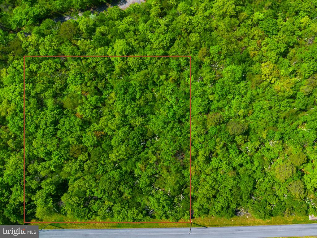 Lot 14 Timber Ridge Trail Winchester, VA 22602 - Photo 2 of 5 a view of a lush green field