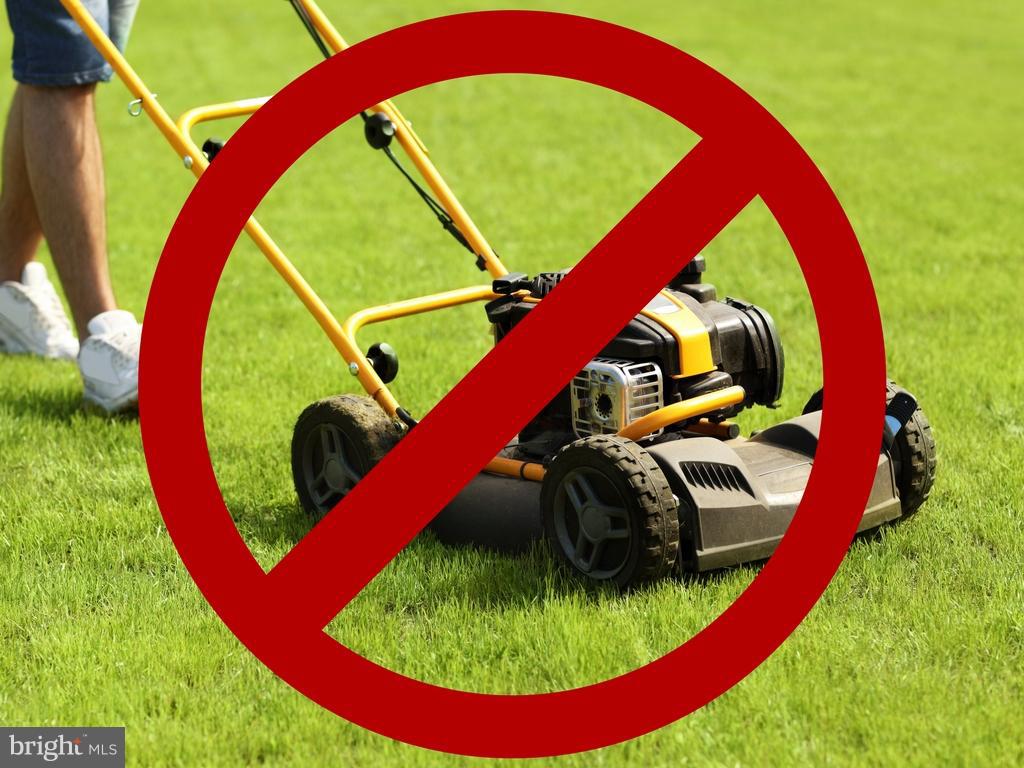 20080 Inverness Square Ashburn, VA 20147 - Photo 14 of 14 Lawn Maintenance Included!