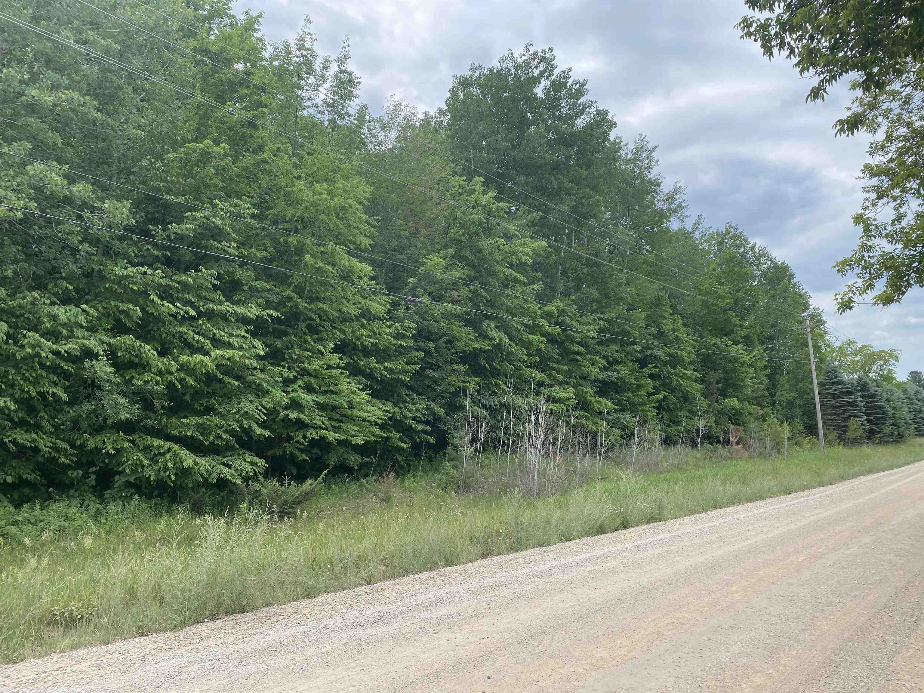 0 Woodman Road Fife Lake, MI 49633 - Photo 1 of 7 Gallery Image 1