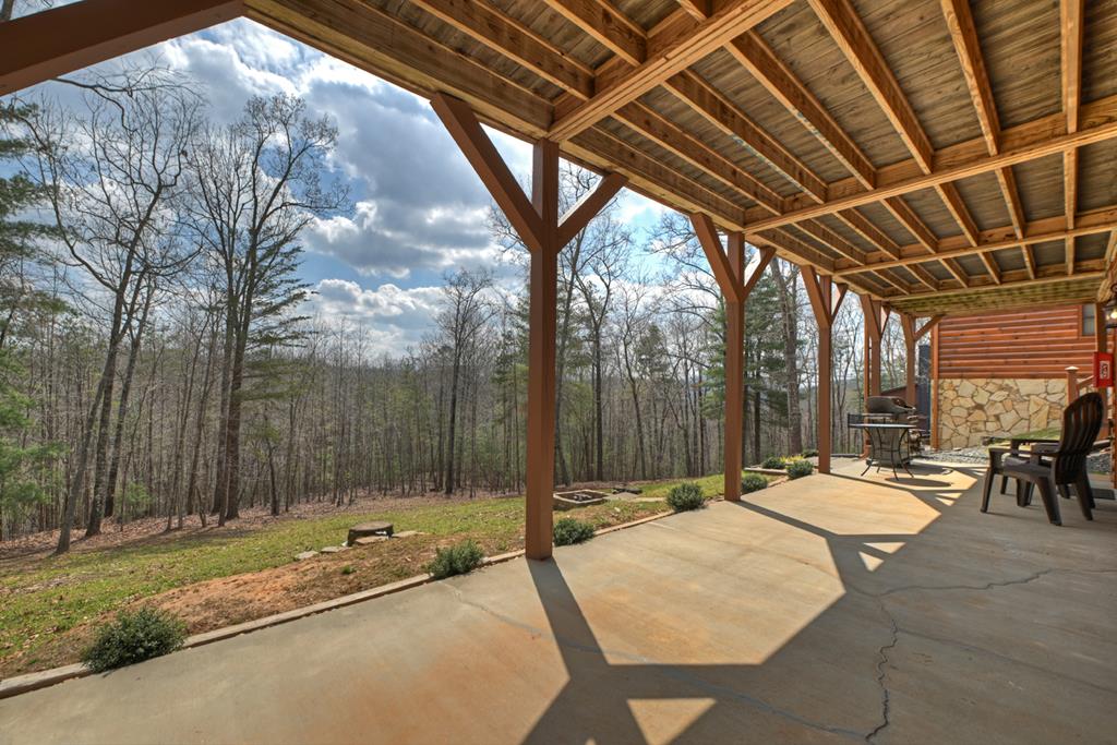 109 Chestnut Hills Lane Blue Ridge, GA 30513 - Photo 42 of 63 Gallery Image 42