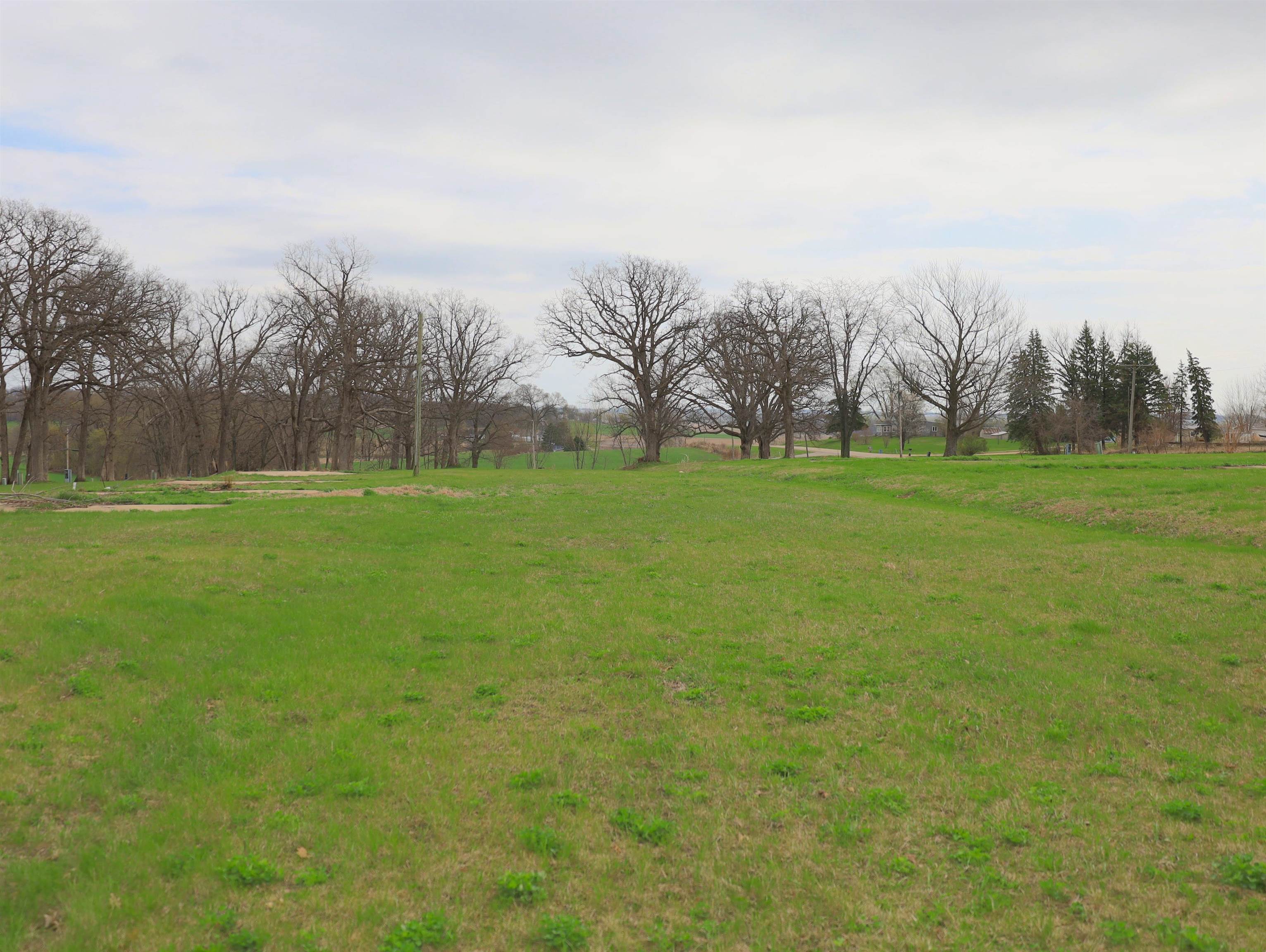 4500 East River Road Ridott, IL 61067 - Photo 41 of 54 a view of grassy field with trees