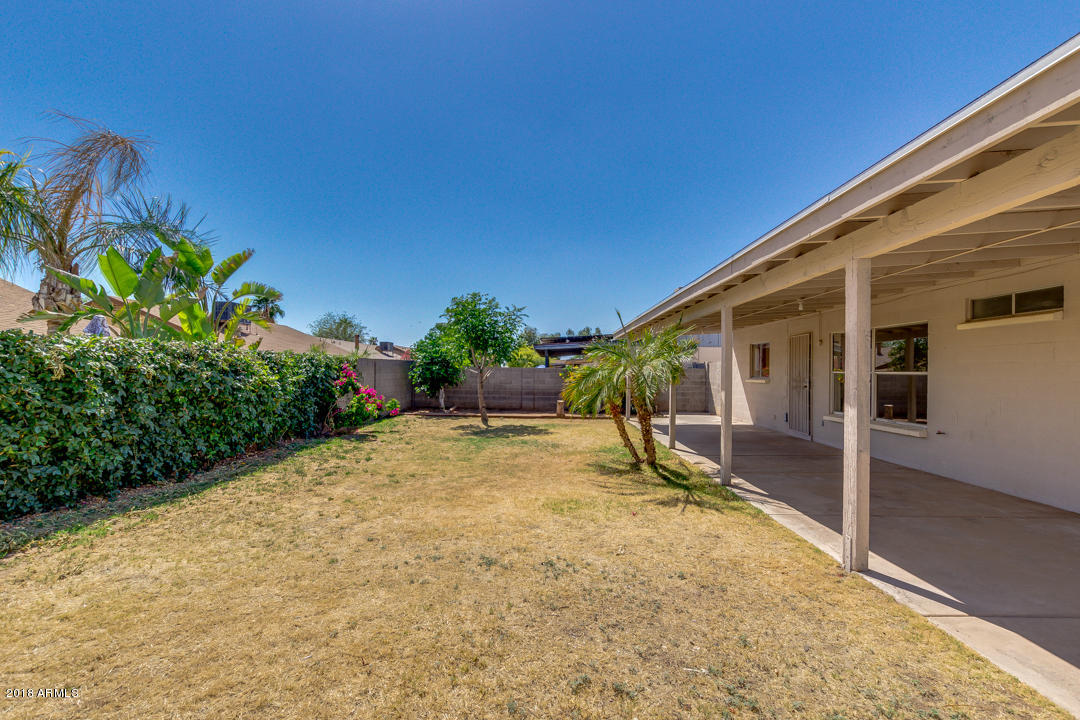 6143 Casper Road Mesa, AZ 85205 - Photo 5 of 23 photo_05