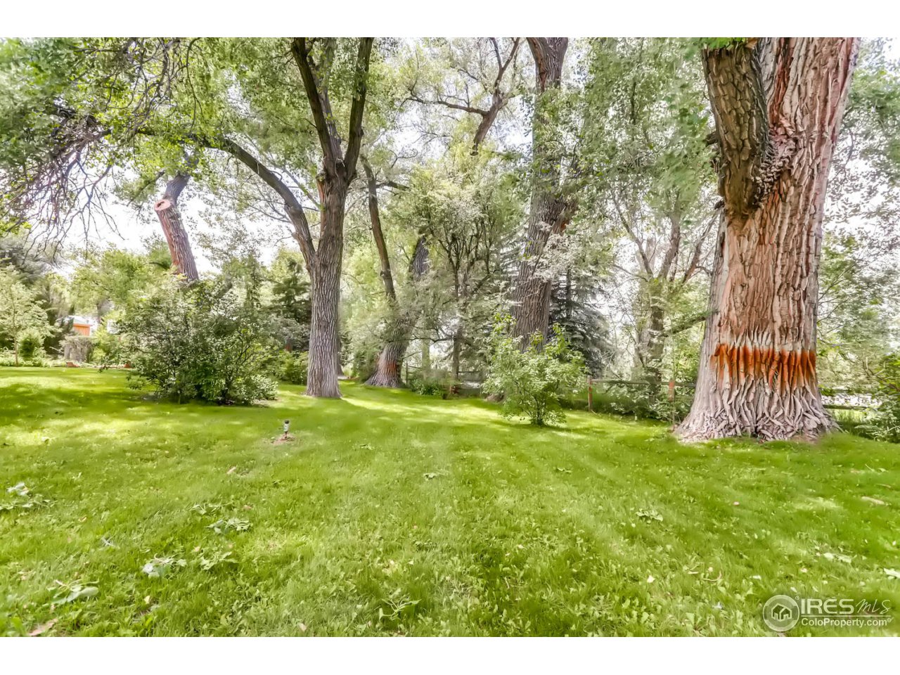 9760 Isabelle Road Lafayette, CO 80026 - Photo 23 of 40 a view of an outdoor space and a yard