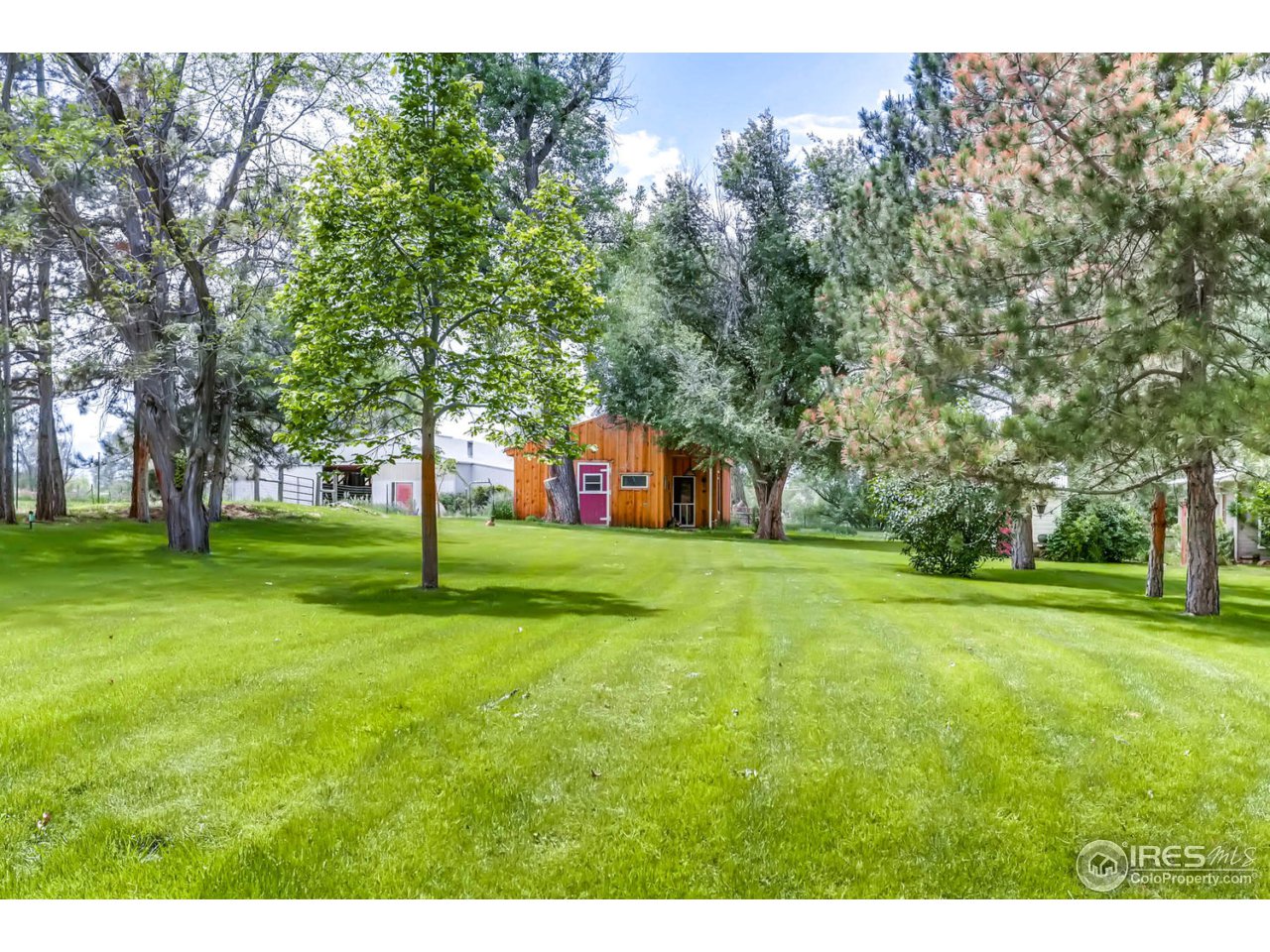 9760 Isabelle Road Lafayette, CO 80026 - Photo 34 of 40 a view of a trees in front of a house