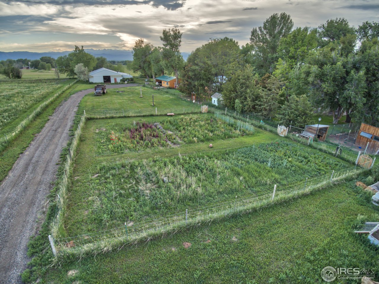 9760 Isabelle Road Lafayette, CO 80026 - Photo 4 of 40 a view of a grassy field with trees