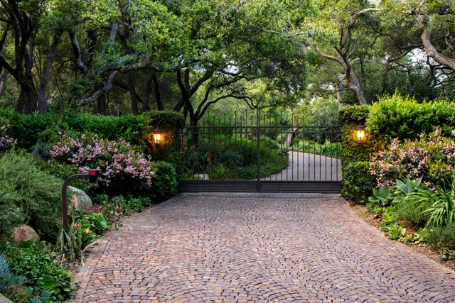 a view of backyard with plants and trees