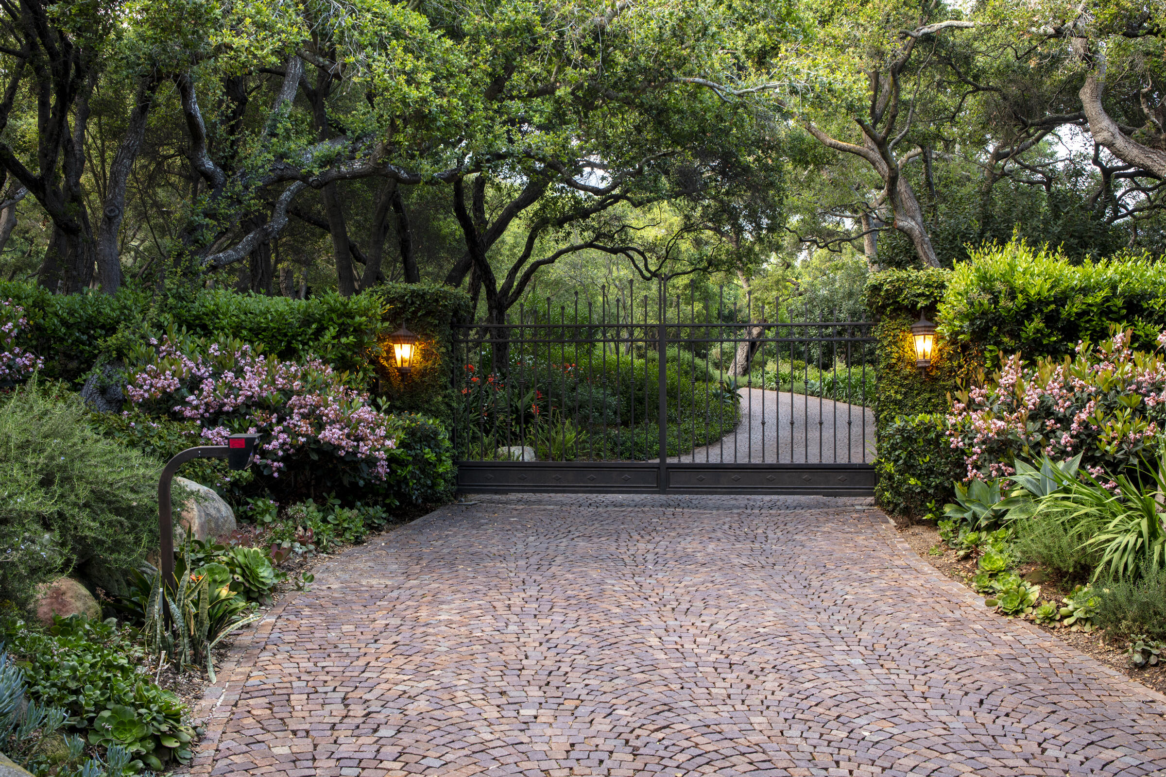a view of backyard with plants and trees