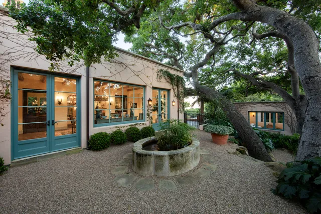 a view of a patio with plants and large trees
