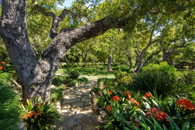 a front view of a house with a yard and a fountain
