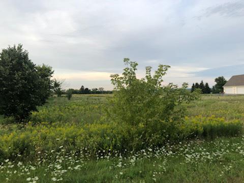 Lot 3 Barrick Road Sturgeon Bay, WI 54235 - Photo 8 of 9