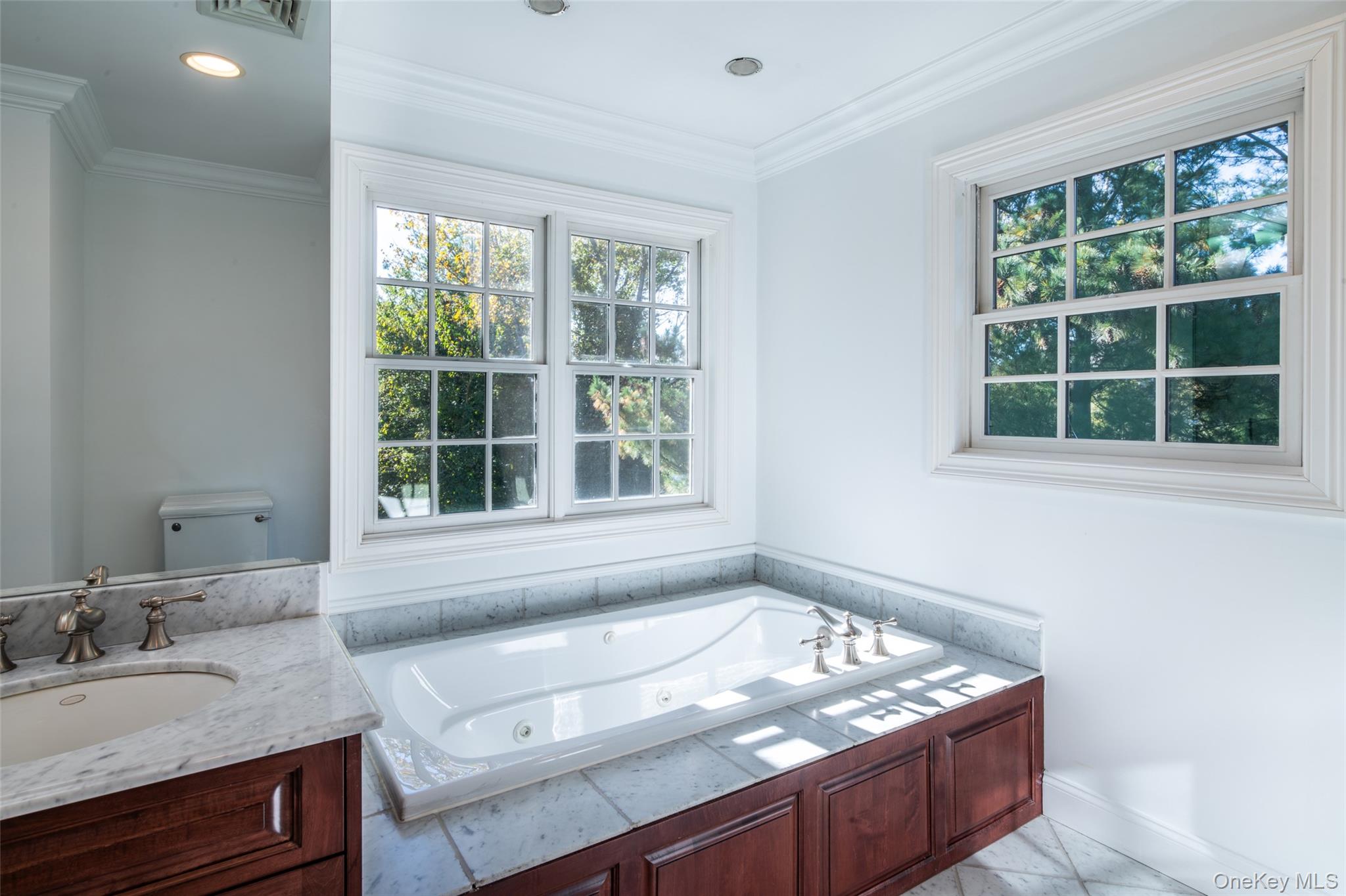 1 Mill Pond Lane New Rochelle, NY 10805 - Photo 31 of 38 a bathroom with a tub sink and window