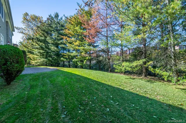 a view of yard with green space