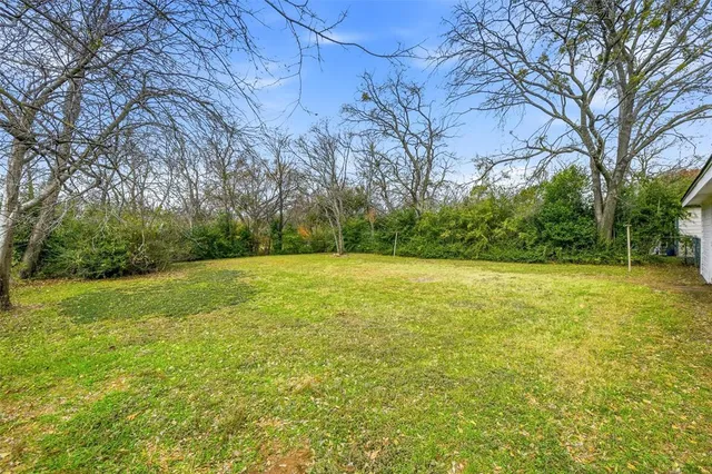 a view of a yard with a trees