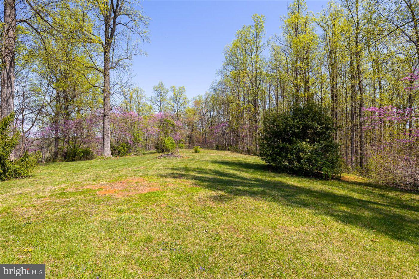 9571 Rapidan Road Orange, VA 22960 - Photo 58 of 81 Gallery Image 58