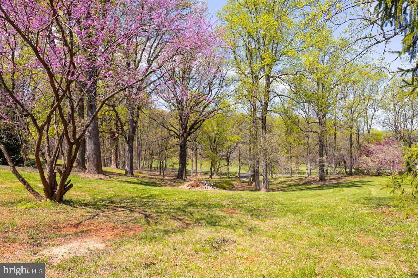 9571 Rapidan Road Orange, VA 22960 - Photo 60 of 81 Gallery Image 60
