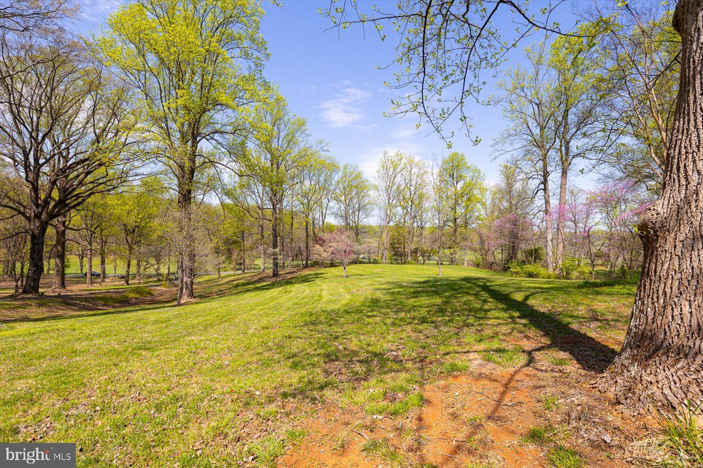 9571 Rapidan Road Orange, VA 22960 - Photo 61 of 81 Gallery Image 61