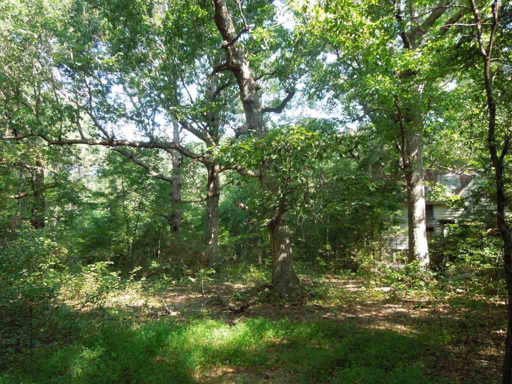 Weldon Road Louisburg, NC 27549 - Photo 4 of 15 Photo 4