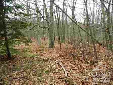 620 Bean River Road Millerton, NY 12546 - Photo 3 of 7