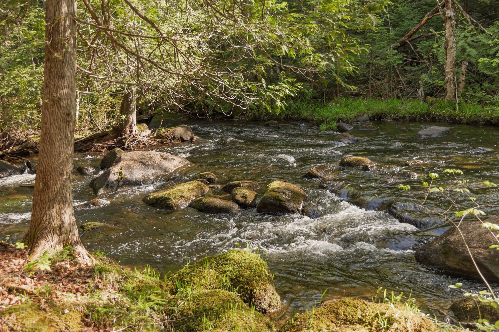 3153 Highway 114 Norton, VT 05907 - Photo 9 of 35