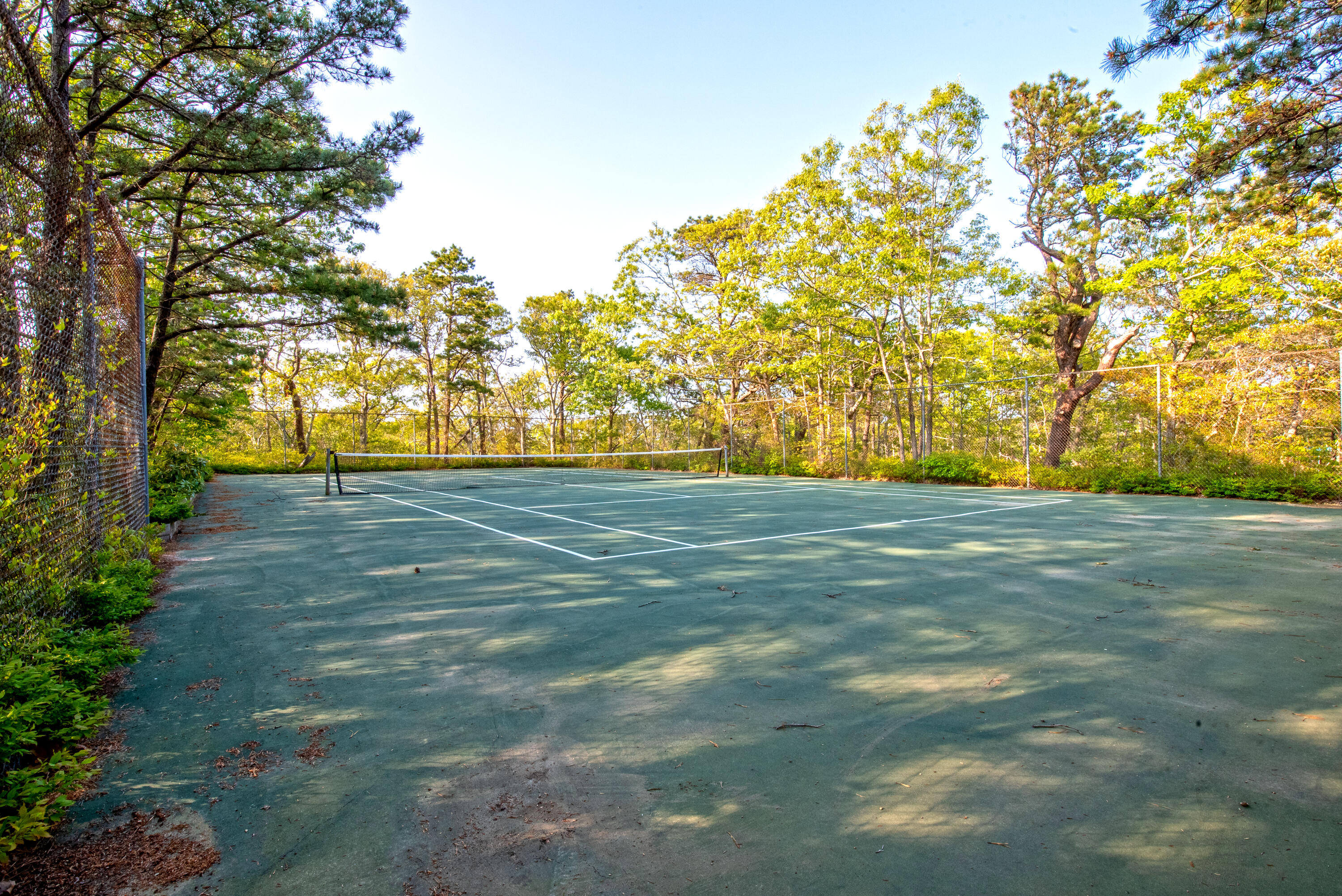 30 Gulch Road Wellfleet, MA 02667 - Photo 35 of 41 a view of yard with trees