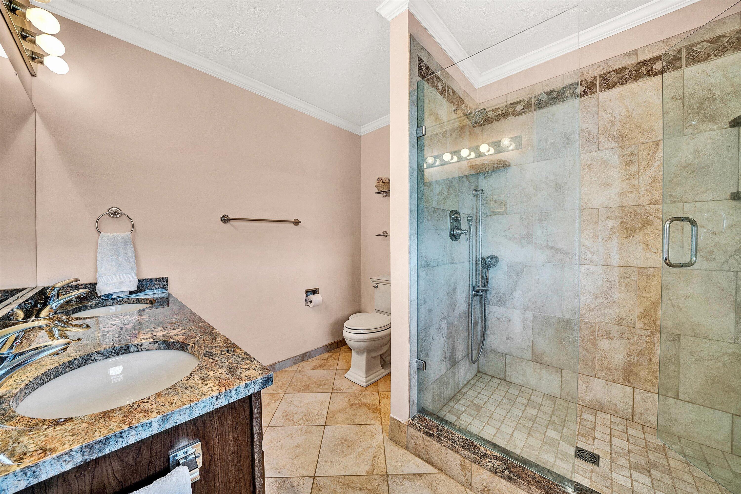 1670 Forge Road Lexington, VA 24450 - Photo 37 of 65 a bathroom with a granite countertop sink a toilet and shower